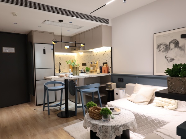乐巢公寓国贸店1居室65sqm (4).JPG